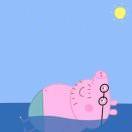 不会爬树的个人资料头像