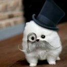 水同学47175的个人资料头像