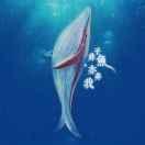 DORNA_GANG的个人资料头像