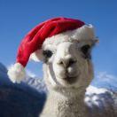 Destiny爱学习的个人资料头像