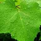 湗的个人资料头像