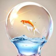 Truth611的个人资料头像