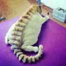 FeLix47250的个人资料头像