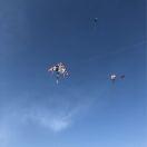 hi47281的个人资料头像