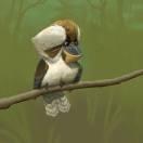 LIGHT的个人资料头像