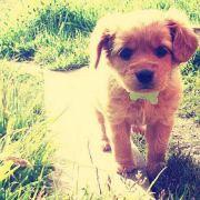 beiciye同志的个人资料头像