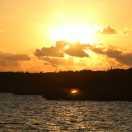 xw47394的个人资料头像