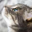 木鱼同学的个人资料头像