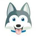 Summer梁帅的个人资料头像