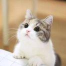 fx爱学习的个人资料头像