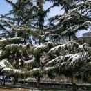 winca的个人资料头像