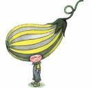 龙锐的个人资料头像