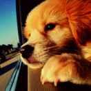 姚立的个人资料头像