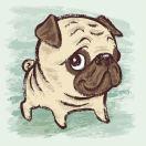 张腾金的个人资料头像