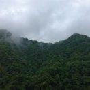 吴铭不想说话的个人资料头像