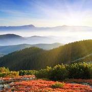 llstone的个人资料头像