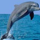 yangpp的个人资料头像