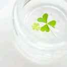 单调的个人资料头像