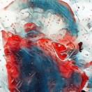 NRhode的个人资料头像