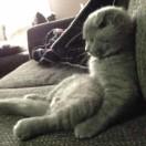 张廷的个人资料头像