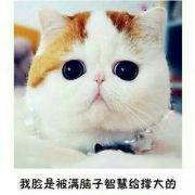 xx紫紫xx的个人资料头像