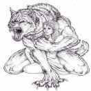 骑了个怪爱学习的个人资料头像