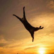 Dblank_的个人资料头像