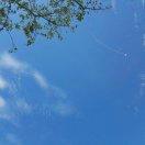 白成慧的个人资料头像