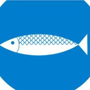 pigrange的个人资料头像