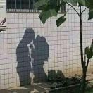 葡萄是酸还是甜的个人资料头像