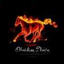 戴高乐的个人资料头像