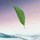 joypapa的个人资料头像