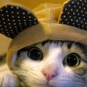 Keepkeep的个人资料头像