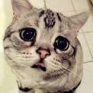 一霖的个人资料头像