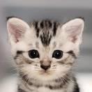 滨在掘金的个人资料头像