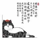 跳跳是龙猫的个人资料头像
