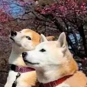 aiyay的个人资料头像