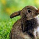 其实我知道你的名字的个人资料头像