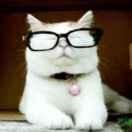 undefined爱学习48500的个人资料头像