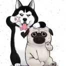 游骑兵就是我的个人资料头像