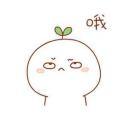 Zhang本尊48631的个人资料头像