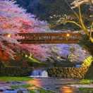 Aa杨霄的个人资料头像