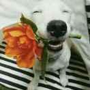 ThreadNew的个人资料头像