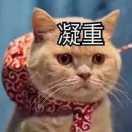 陈陈陈小米的个人资料头像