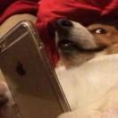 dollar48812的个人资料头像