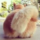 Chamber的个人资料头像