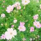 云云同志的个人资料头像