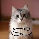 Aesha的个人资料头像