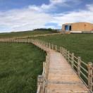 在别处就是我的个人资料头像