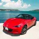 肖晓岚的个人资料头像